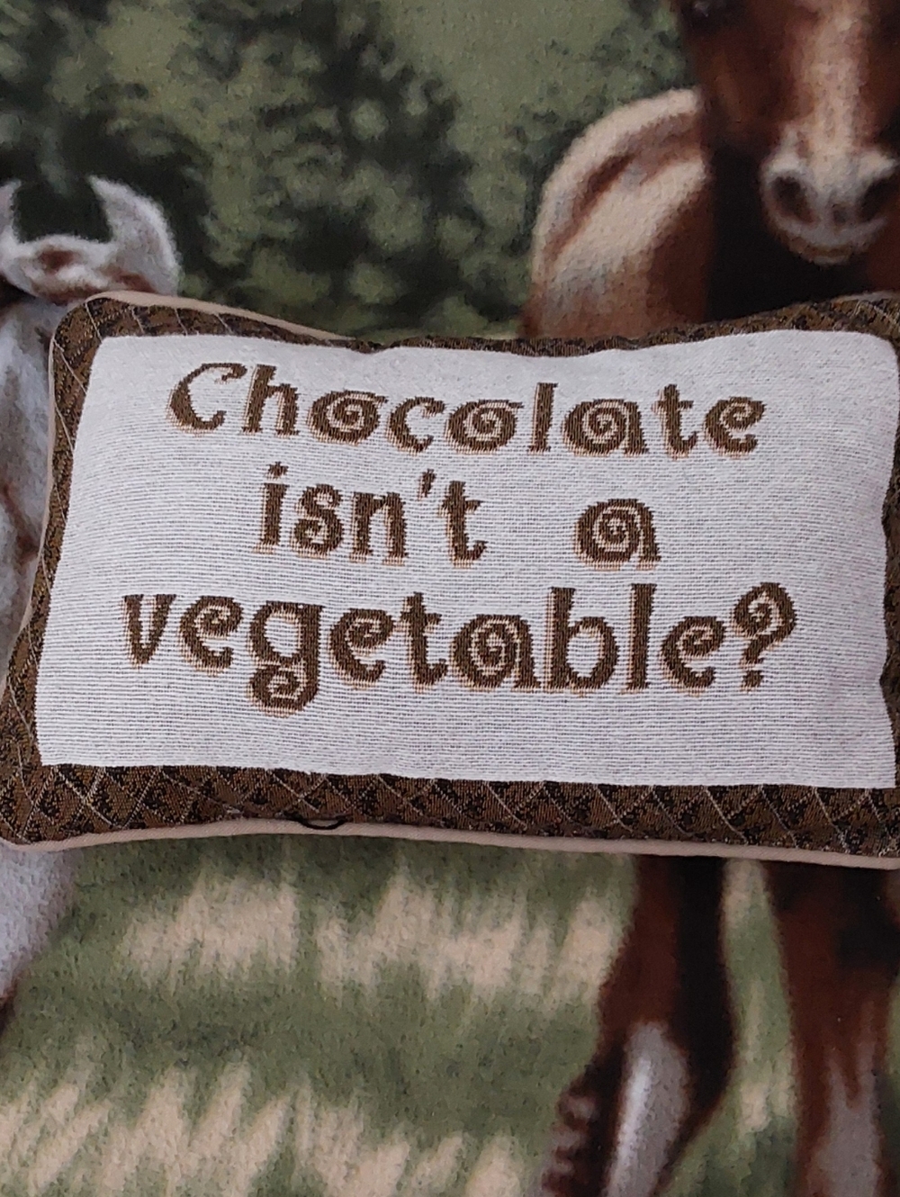 Chocolate Throw Pillow